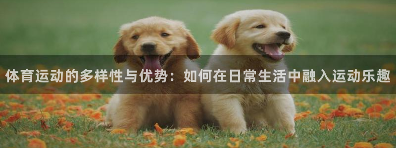 佛山市南海杏宇机电仪器有限公司