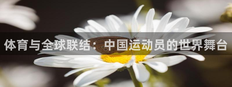 杏宇体育平台注册