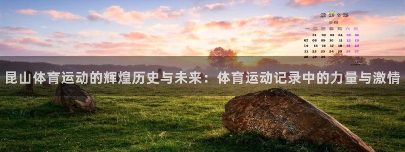 德国意昂集团