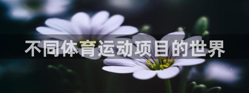 意昂体育2
