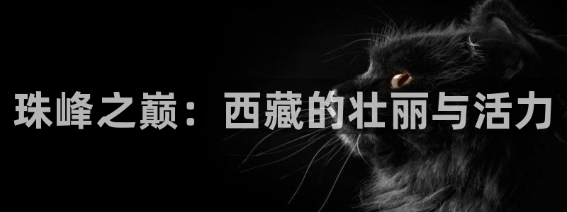 杏宇体育官网入口登录