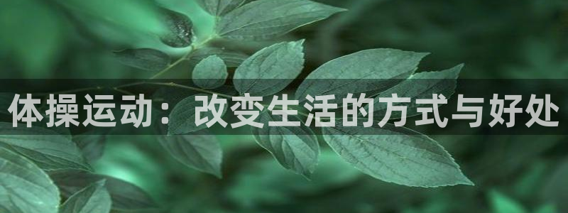 成都杏宇电子有限公司