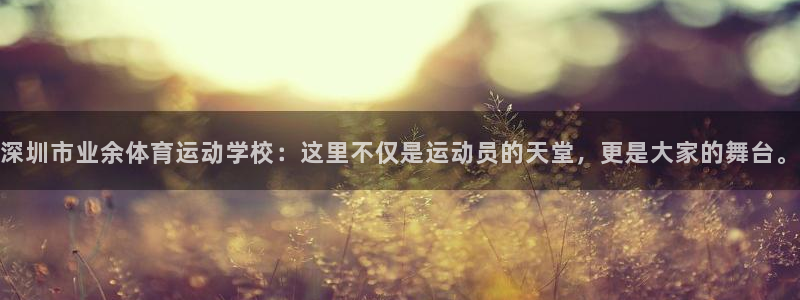 杏宇3官网