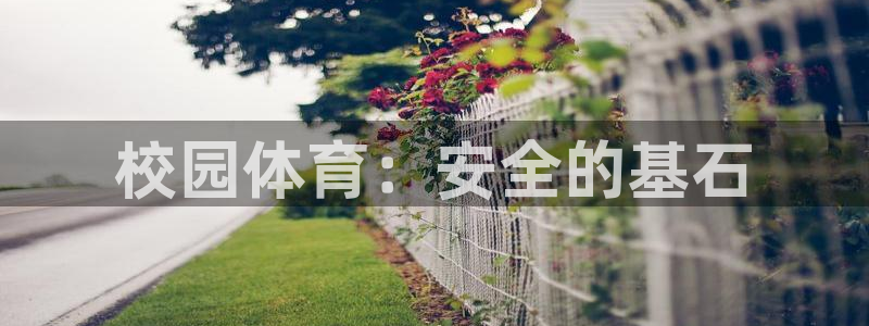 杏宇凯捷平台注册链接