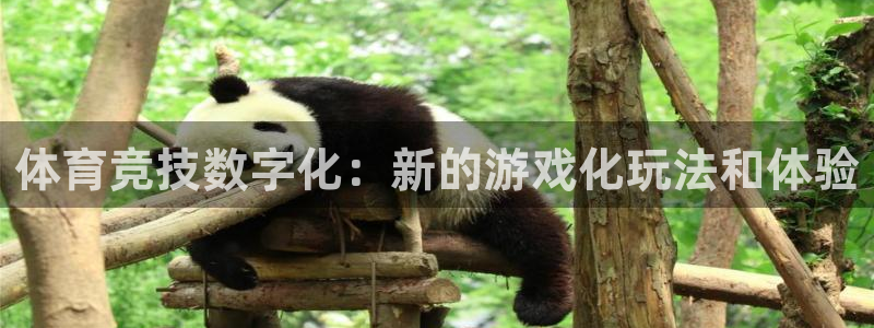 杏宇平台注册