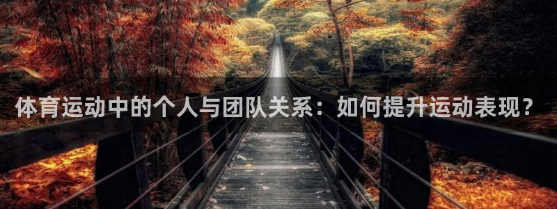 杏宇4官网