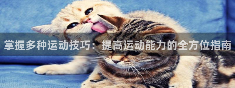 杏宇5