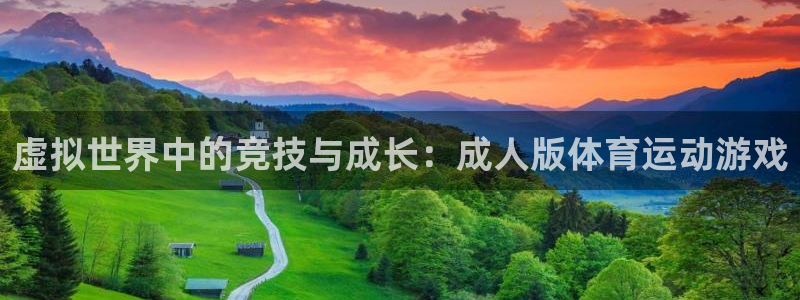 杏宇集团官网