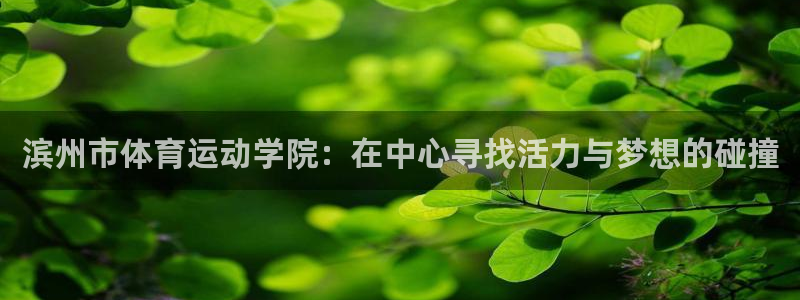 杏宇主管