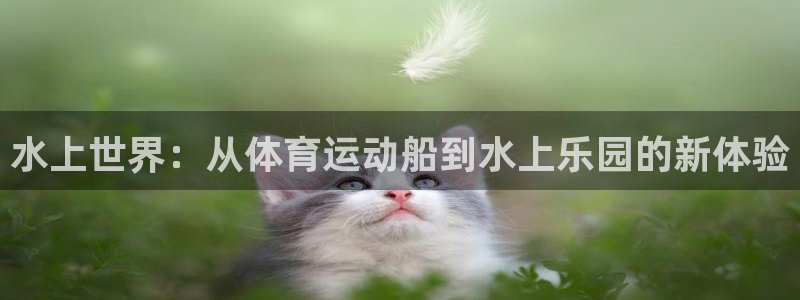 意昂体育官网