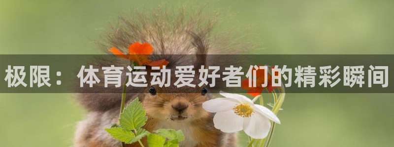 意昂4平台注册
