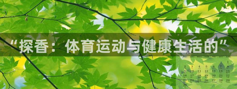 杏宇官网