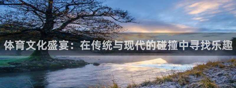 杏宇代理