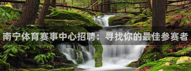 杏宇体育注册