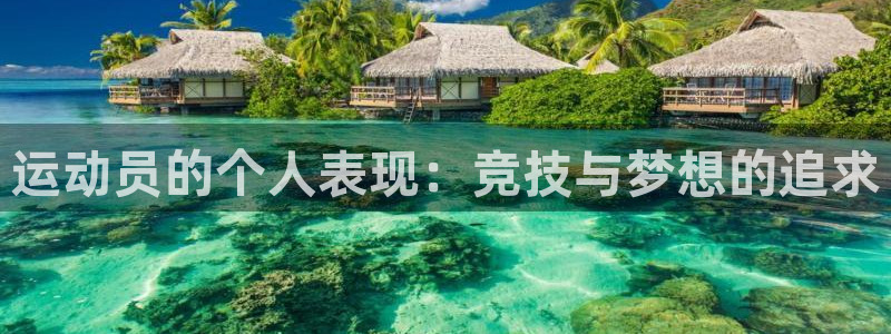 杏宇体育凯捷平台代理