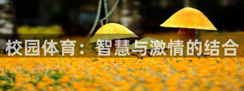 杏宇体育平台注册