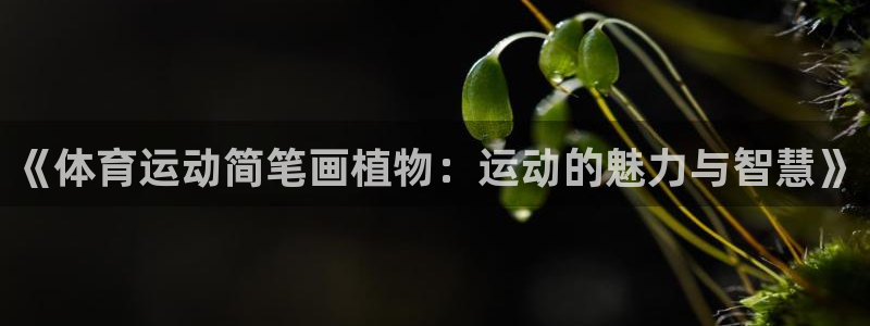杏宇体育凯捷平台代理